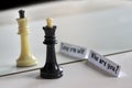 Chess in mirror image, concept search opportunities, self-development, improvement