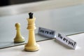 Chess in mirror image, concept search opportunities, self-development, improvement Royalty Free Stock Photo