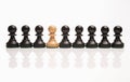 Chess the odd one out Royalty Free Stock Photo