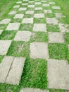 Chess pathway