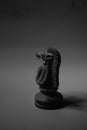 Chess Pawn, King Queen, bishop, knight, rook Royalty Free Stock Photo