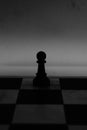 Chess Pawn, King Queen, bishop, knight, rook Royalty Free Stock Photo