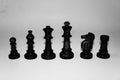 Chess Pawn, King Queen, bishop, knight, rook Royalty Free Stock Photo