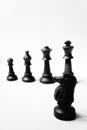 Chess Pawn, King Queen, bishop, knight, rook Royalty Free Stock Photo