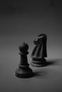 Chess Pawn, King Queen, bishop, knight, rook Royalty Free Stock Photo