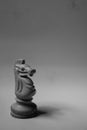 Chess Pawn, King Queen, bishop, knight, rook Royalty Free Stock Photo