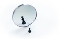 A chess piece in front of mirror with reflection.