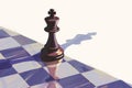 Chess Piece Shadow on Board Royalty Free Stock Photo