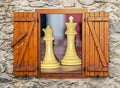 Chess piece Royalty Free Stock Photo