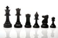 Chess pieces Royalty Free Stock Photo