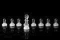 Chess pieces Royalty Free Stock Photo