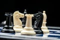 Chess pieces on the board Royalty Free Stock Photo