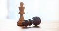 Chess pieces dark, light brown color. Close up view of kings with details. Blurred background.