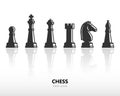 Chess pieces Royalty Free Stock Photo