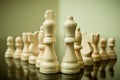 Chess pieces Royalty Free Stock Photo