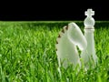 Chess Pieces in Grass Royalty Free Stock Photo