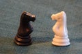 Chess pieces, horses black and white Royalty Free Stock Photo