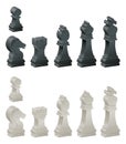 Chess pieces Royalty Free Stock Photo