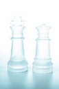 Chess pieces King and Queen Royalty Free Stock Photo