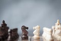 Chess pieces knights facing each other for a standoff on chessboard with blurred background. Royalty Free Stock Photo