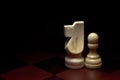 Chess pieces Royalty Free Stock Photo