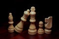 Chess pieces Royalty Free Stock Photo
