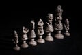 Chess pieces in a row on a black background Royalty Free Stock Photo