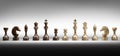 Chess pieces set a complete Royalty Free Stock Photo