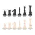 Chess pieces Royalty Free Stock Photo