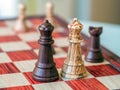 Chess pieces are standing on the board. Black and white chess queens. Close-up Royalty Free Stock Photo