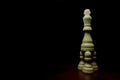 Chess pieces Royalty Free Stock Photo