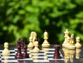 Chess pieces on a table in the park Royalty Free Stock Photo