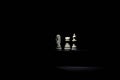 Chess pieces under the light in the dark