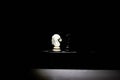 Chess pieces under the light in the dark