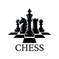 Chess pieces vector illustration. Chess Pieces: King, Knight, Rook, Pawns on a chessboard. Isolated on a white background Royalty Free Stock Photo