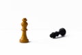 Chess pieces Royalty Free Stock Photo