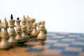 Chess pieces on board. Royalty Free Stock Photo