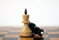 Chess. White king and black queen on chess board. Royalty Free Stock Photo