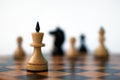 Chess. White king on chess board. Royalty Free Stock Photo