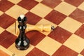 Chess pieces on a wooden chessboard against a dark background