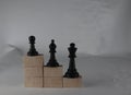 Chess pieces\' from wooden cubes show the concepts of equity. Business concept
