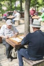Chess player in the park. Old man plays chess in the park. vertical photo Royalty Free Stock Photo