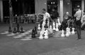 Chess Players On An Amsterdam Street