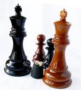 Chess and playing bones Royalty Free Stock Photo