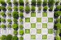 Chess Squares, Trees And Pavement in the Green Park