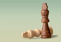 Chess Royalty Free Stock Photo