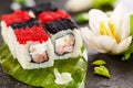 Chess Sushi Roll Royalty Free Stock Photo