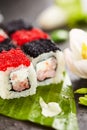 Chess Sushi Roll Royalty Free Stock Photo