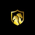 Chess vector logo with knight horse a shield. fit for chess club game logo template. gold color Royalty Free Stock Photo