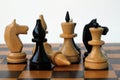 Chess. White and black pieces on chess board. Royalty Free Stock Photo